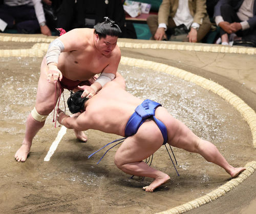 大栄翔（左）ははたき込みで若隆景を破る（撮影・足立雅史）