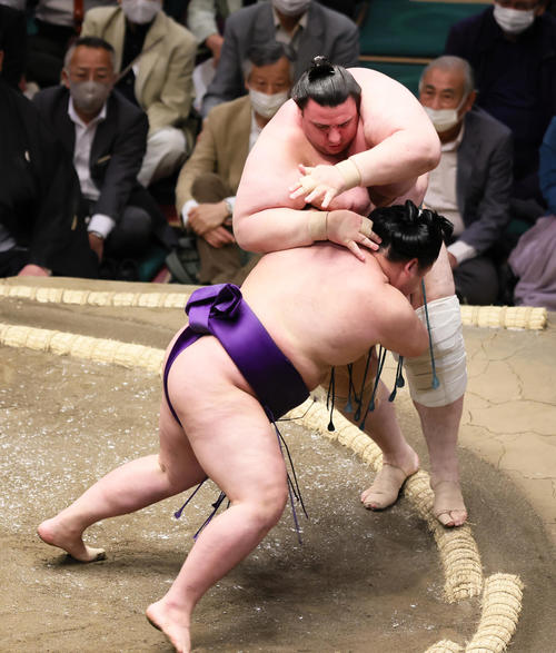 明生（手前）を突き落としで破る碧山（撮影・足立雅史）