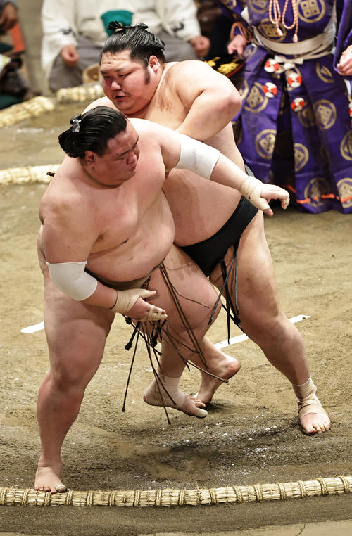 荒篤山（左）を送り出しで破る千代大龍（撮影・中島郁夫）