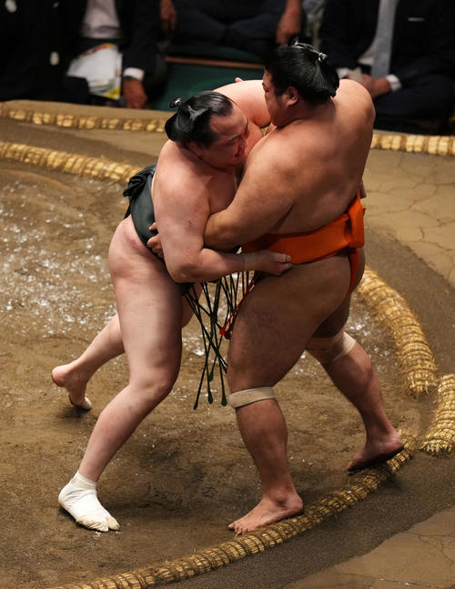 志摩ノ海（右）を寄り切りで破る千代翔馬（撮影・横山健太）