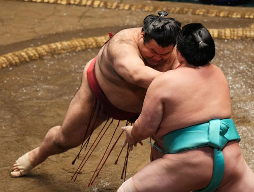 琴ノ若（右）を押し出しで破る高安（撮影・横山健太）