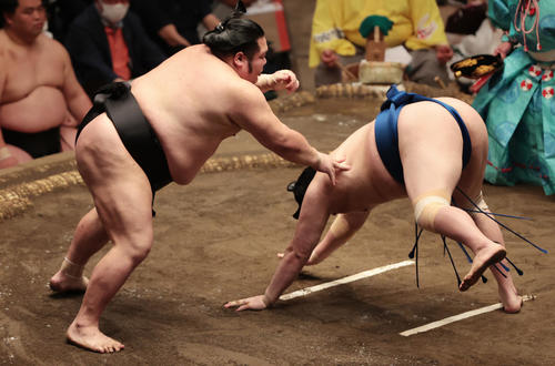 一山本（右）をはたき込みで破る千代大龍（撮影・野上伸悟）