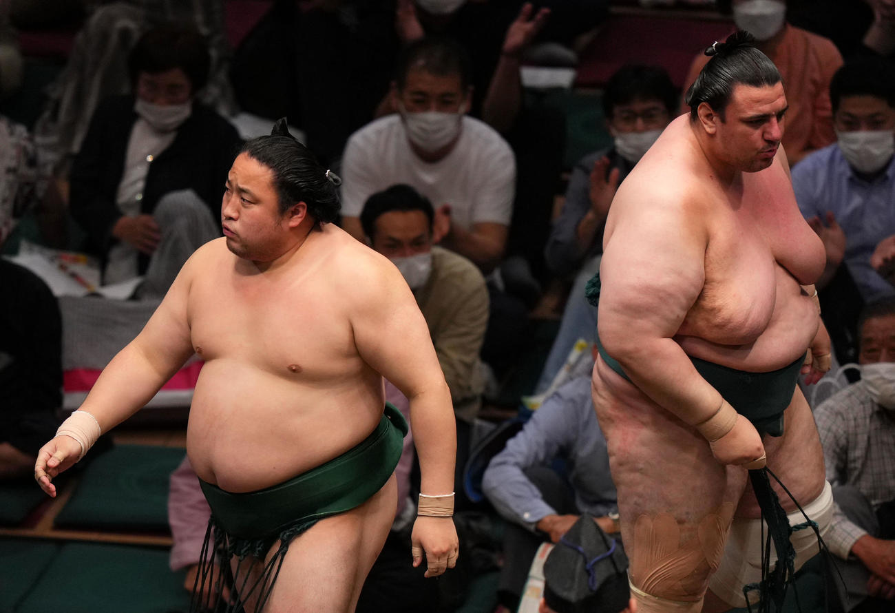 碧山（右）を押し出しで破る佐田の海（撮影・横山健太）