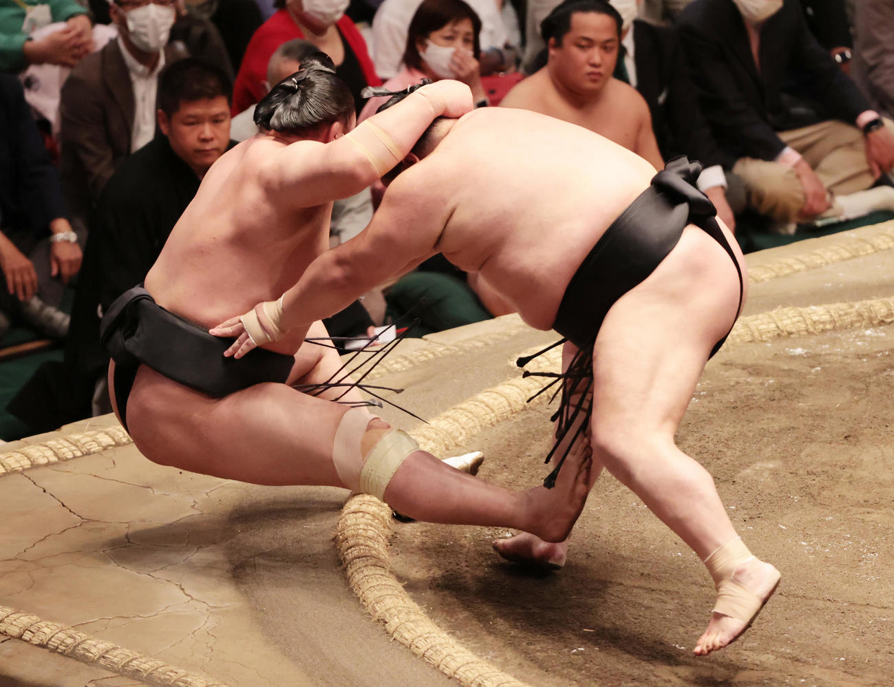 東龍（左）を押し倒しで破る千代大龍（撮影・野上伸悟）