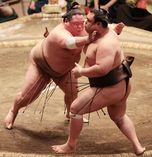 英乃海（右）を突き出しで破る荒篤山（撮影・野上伸悟）