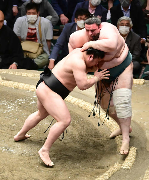 若元春（左）は碧山を押し出しで破る（撮影・小沢裕）