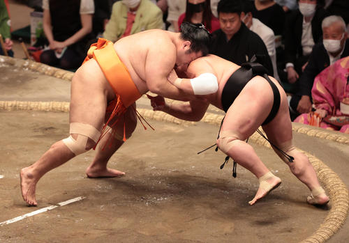 照強（右）を押し出しで破る志摩ノ海（撮影・野上伸悟）