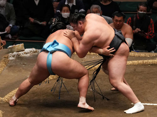 琴勝峰（左）をはたき込みで破る東龍（撮影・横山健太）