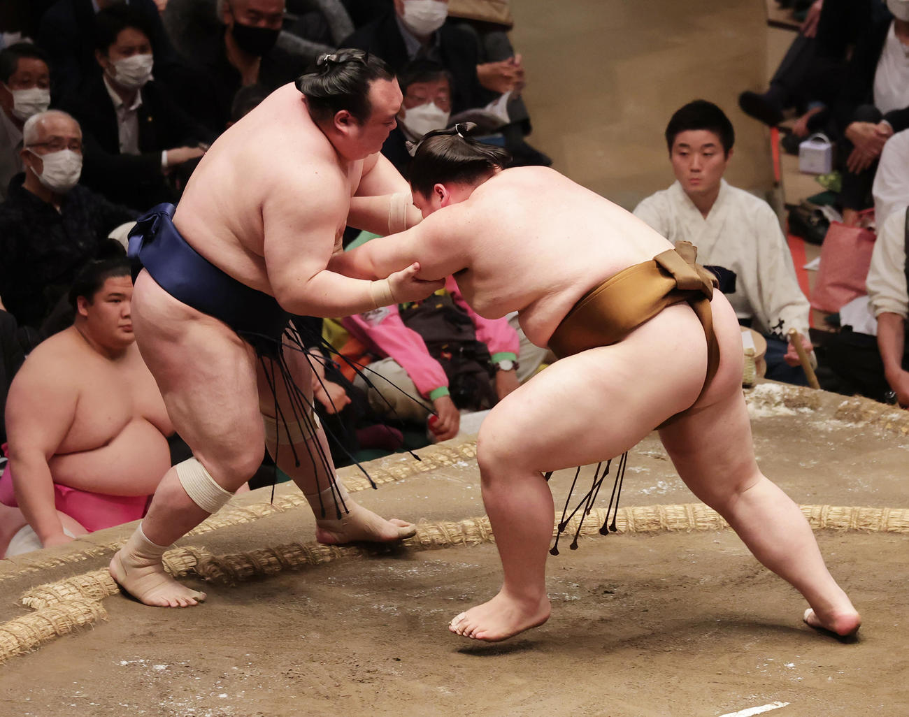 宝富士（左）を押し出しで破る王鵬（撮影・野上伸悟）