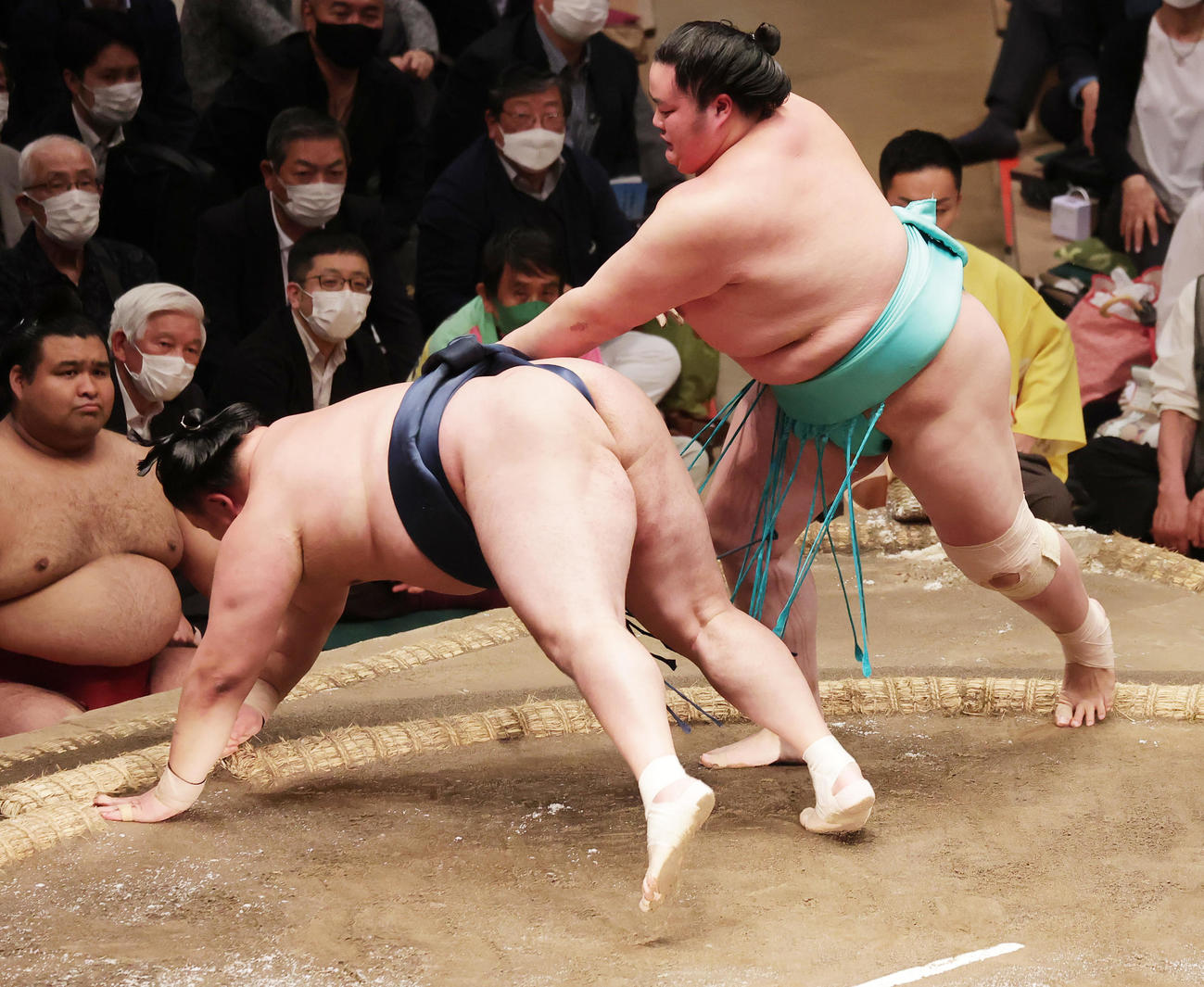 玉鷲（左）を突き落としで破る琴ノ若（撮影・野上伸悟）