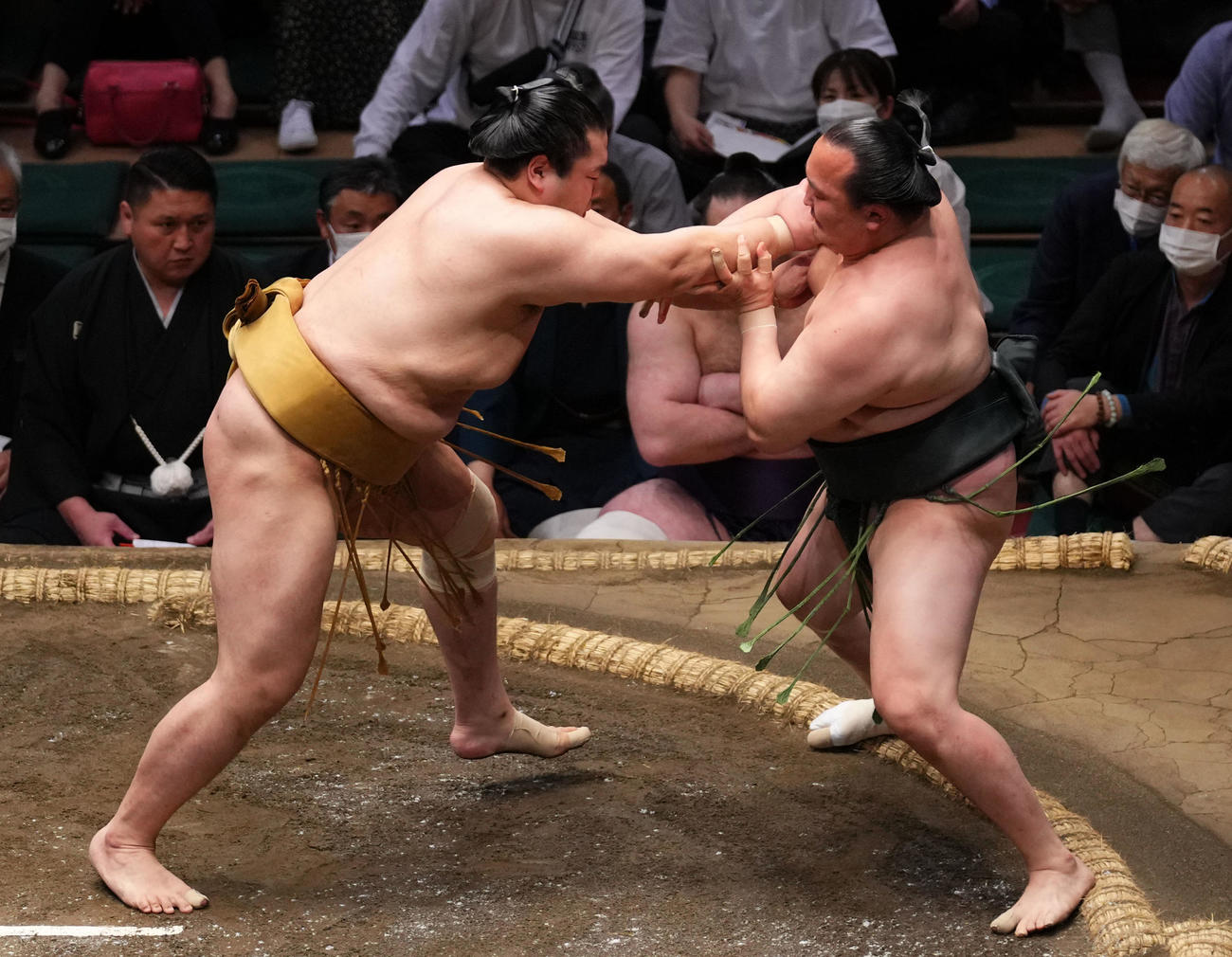 千代翔馬（右）を押し出しで破る輝（撮影・横山健太）