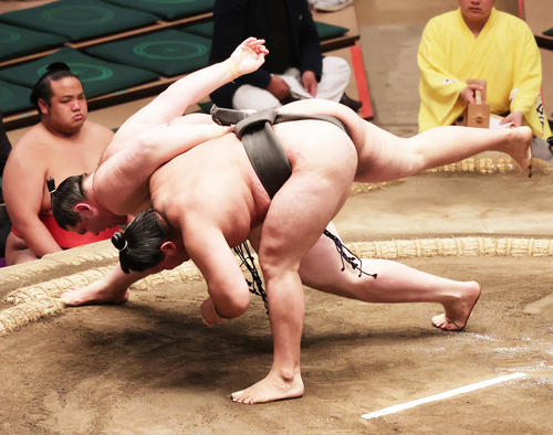技を掛け合う獅司(奥)と狼雅(撮影・野上伸悟)