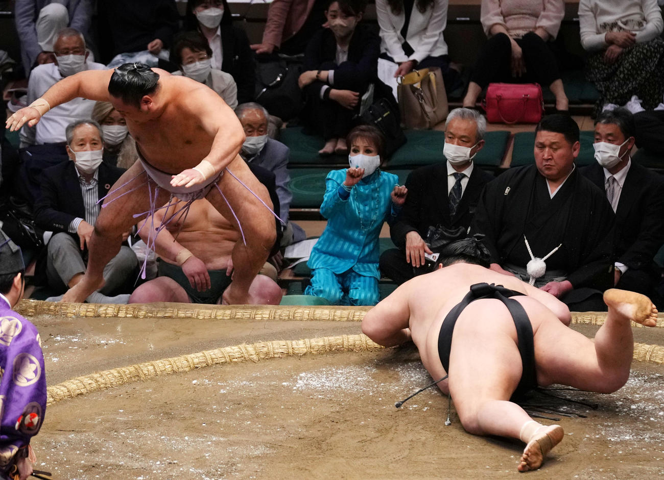 琴恵光（左）を押し出しで破る千代大龍（撮影・横山健太）