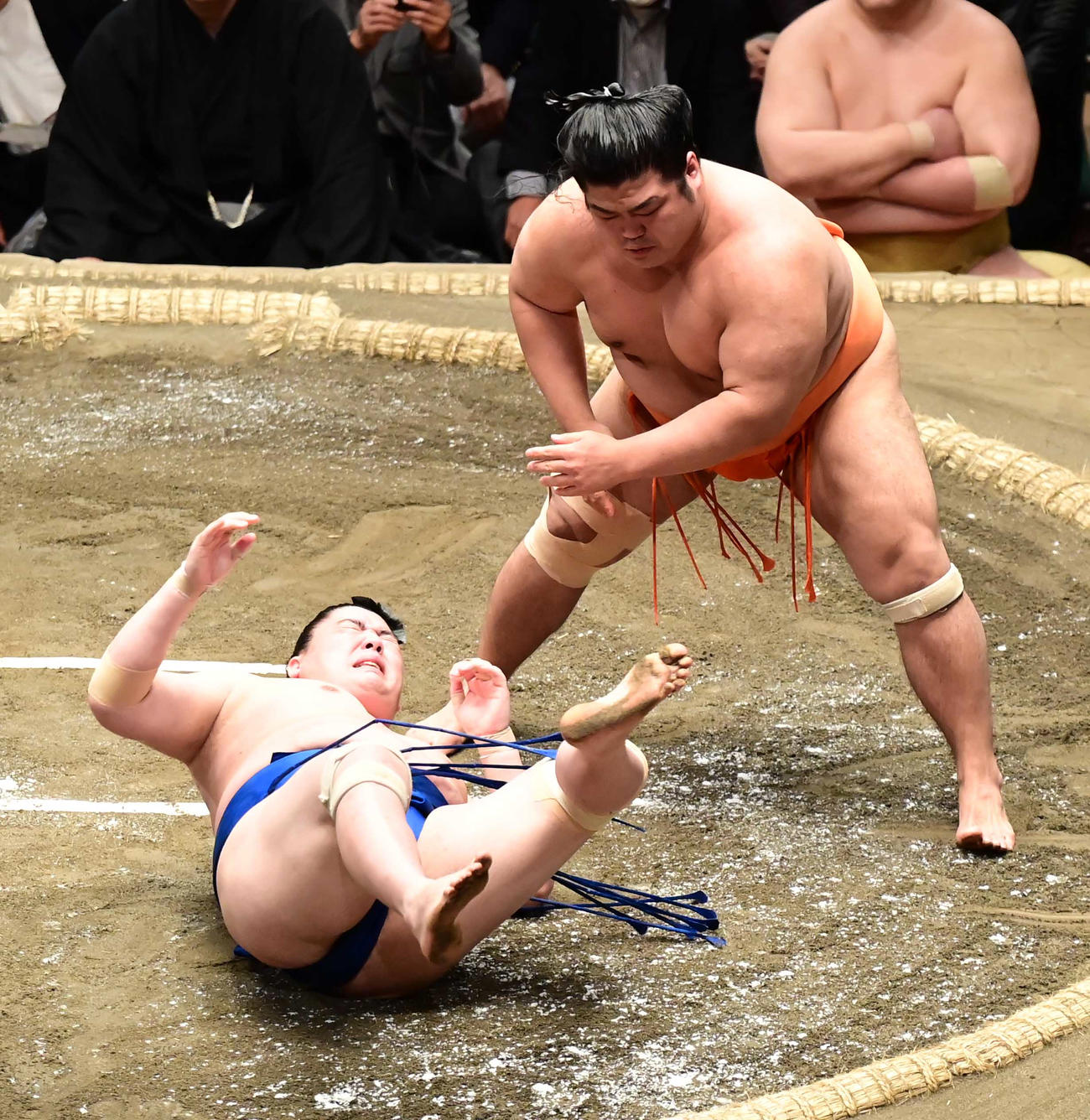 一山本（左）は志摩ノ海に押し倒しで敗れる（撮影・小沢裕）