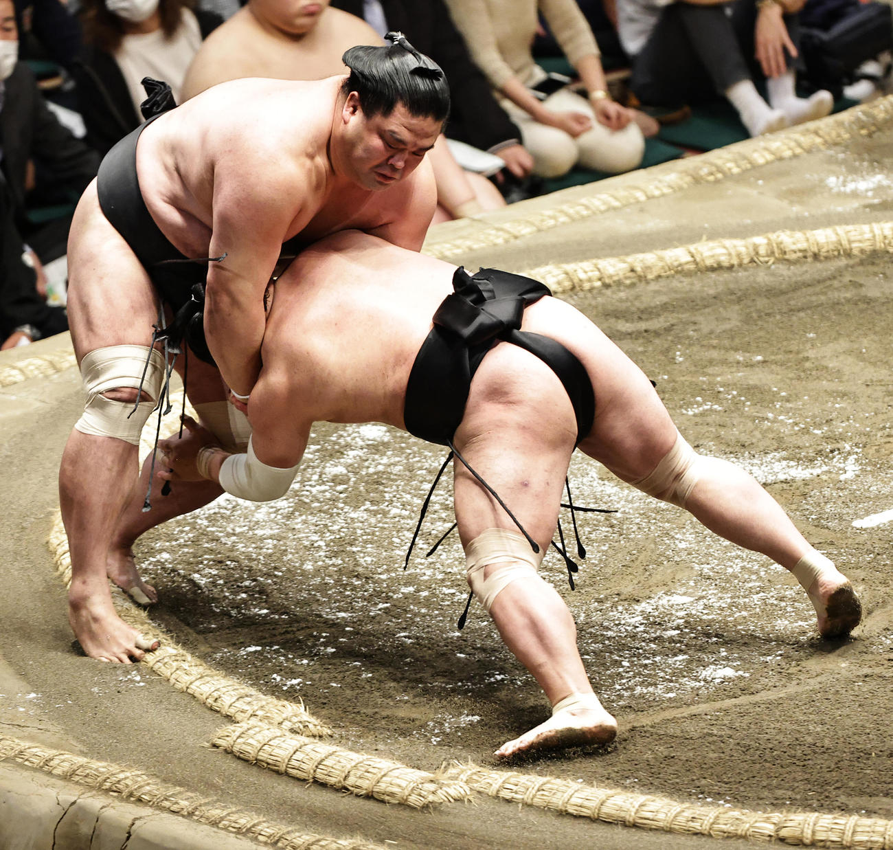 妙義龍（左）を寄り切りで破る照強（撮影・中島郁夫）