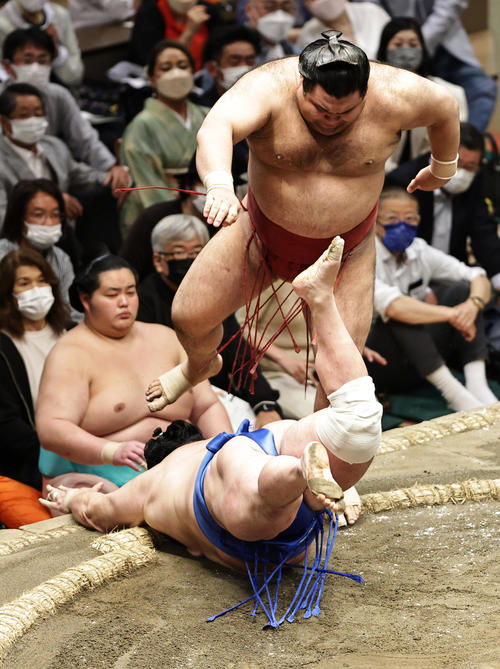 北勝富士（下）をはたき込みで破る高安（撮影・中島郁夫）