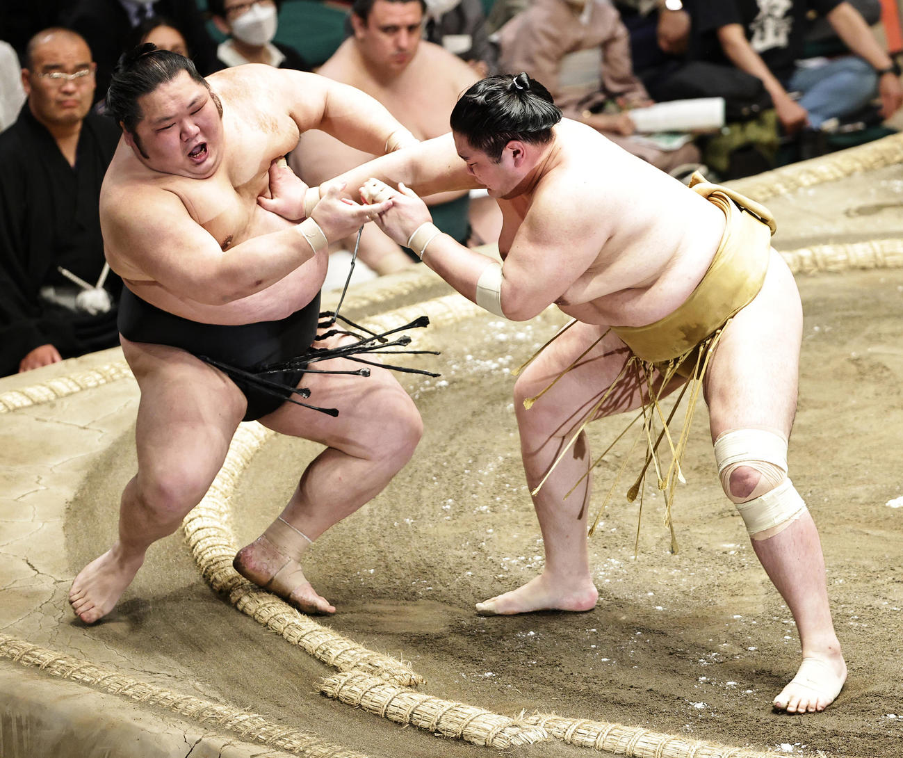 千代大龍（左）を押し倒しで破る輝（撮影・中島郁夫）