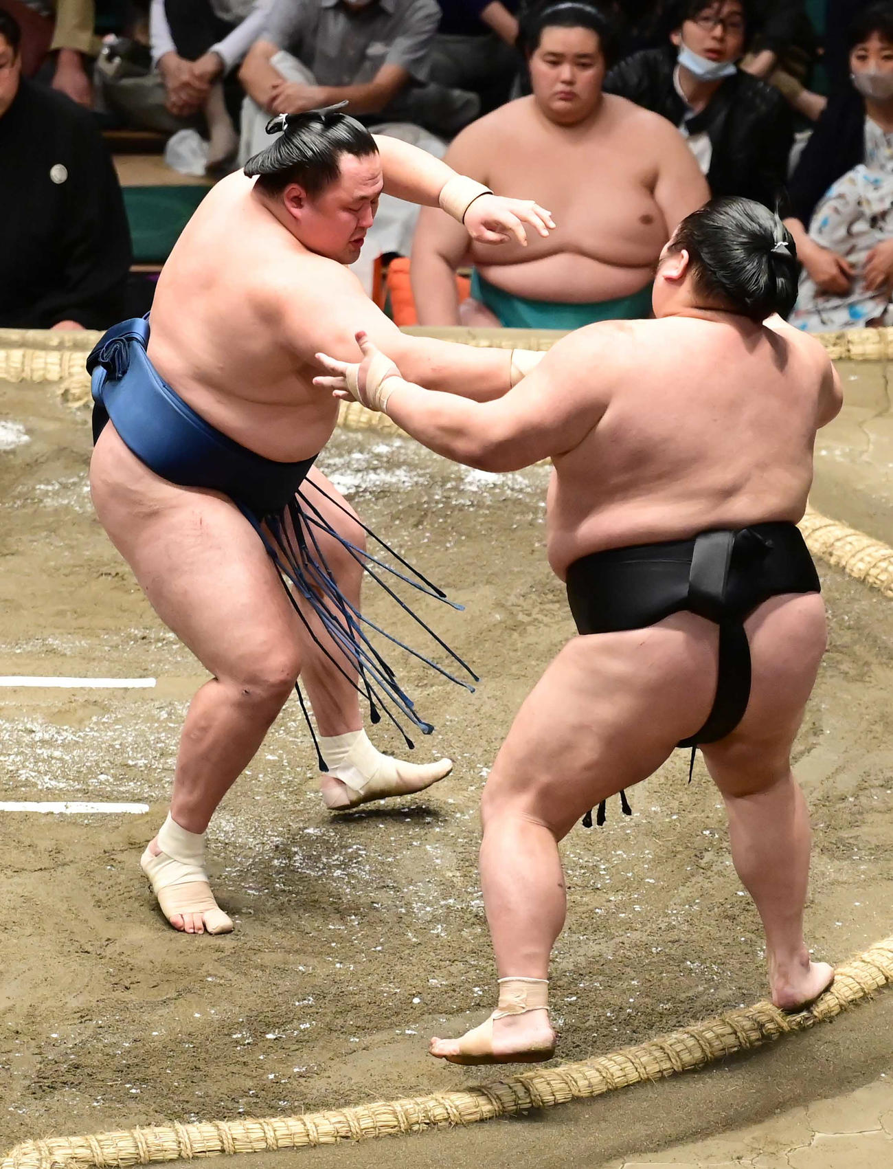 玉鷲（左）は押し出しで千代大龍を破る（撮影・小沢裕）