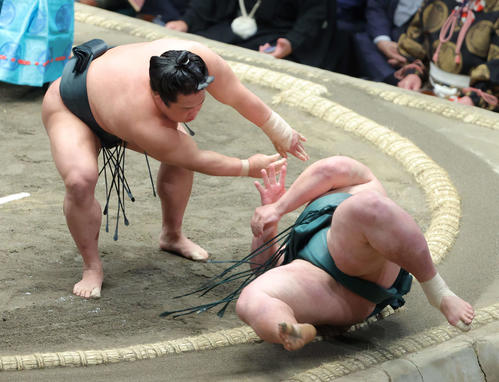翠富士（左）は錦木を肩すかしで破る（撮影・河田真司）