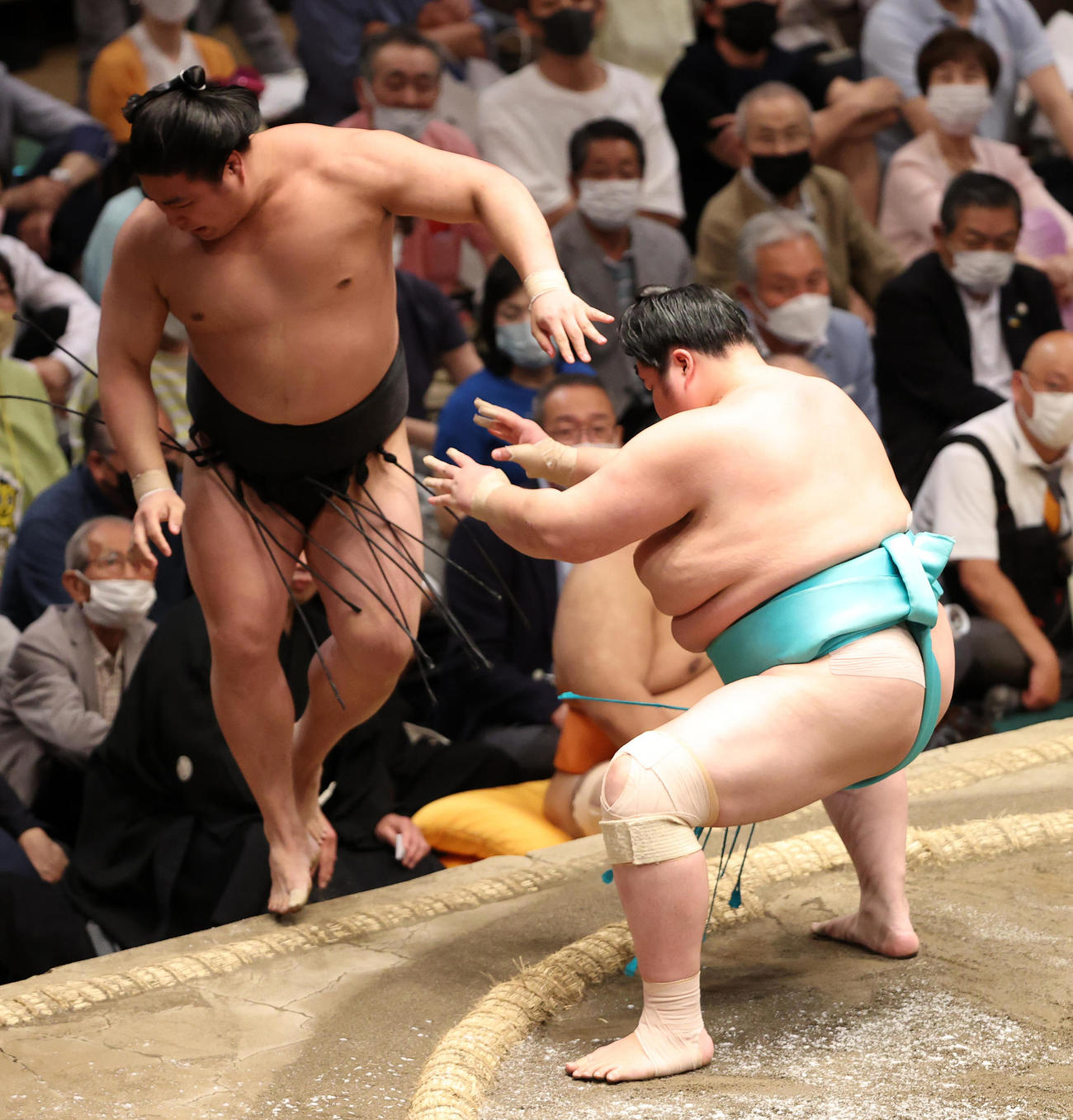 若元春（左）を寄り切りで破る琴ノ若（撮影・鈴木正人）