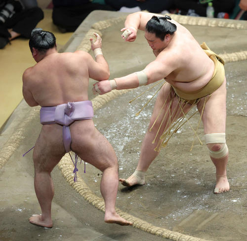 琴恵光（左）を突き出しで破る輝（撮影・河田真司）