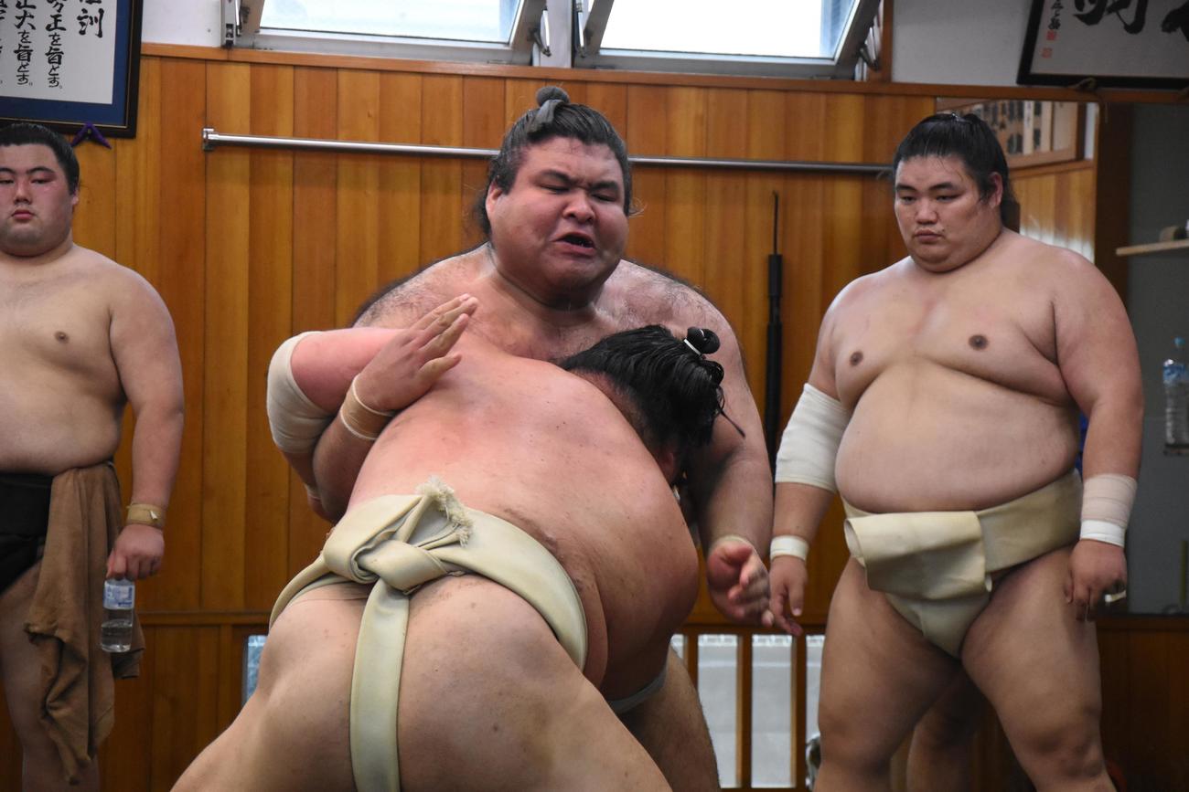解禁された出稽古で追手風部屋に足を運び、関取衆と申し合い稽古する高安