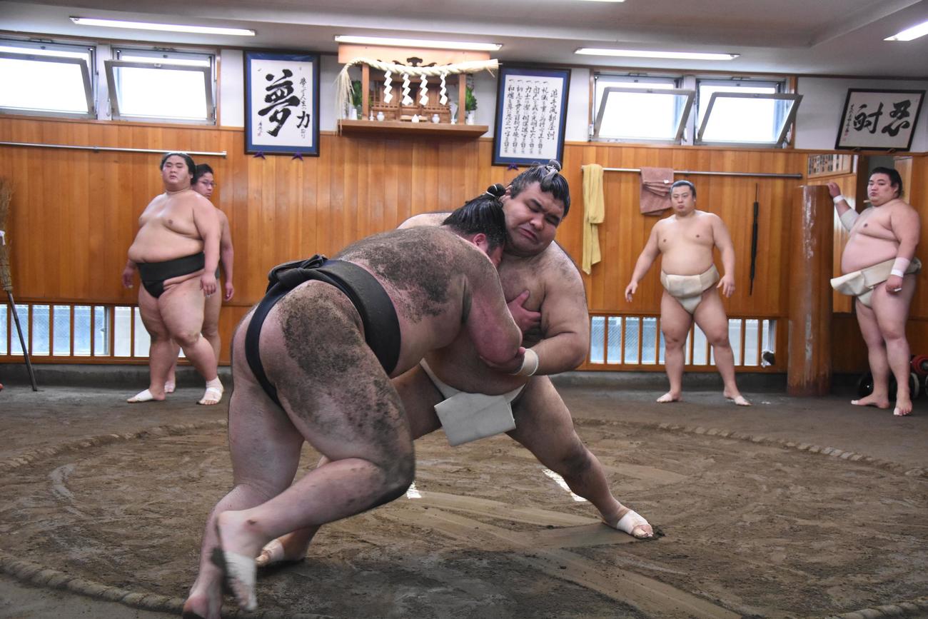 解禁された出稽古で追手風部屋に足を運び、若い衆に胸を出す高安