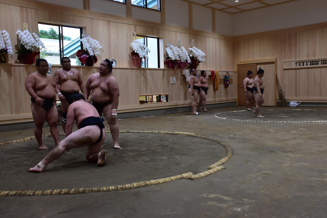 広々とした2面の土俵を備える稽古場で汗を流す二所ノ関部屋の力士たち