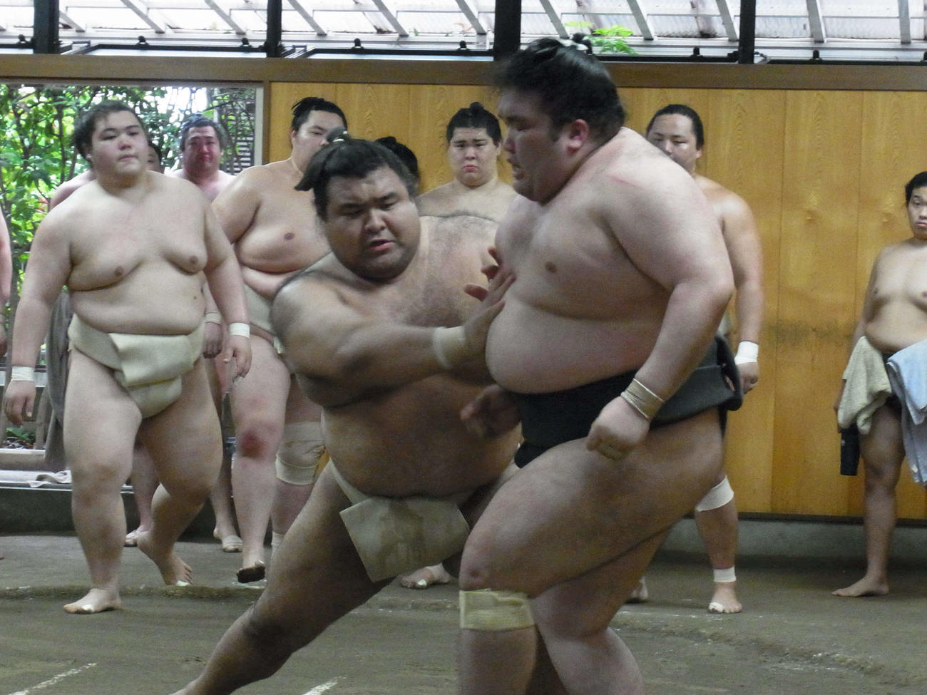 稽古に励む高安と豪ノ山（代表撮影）