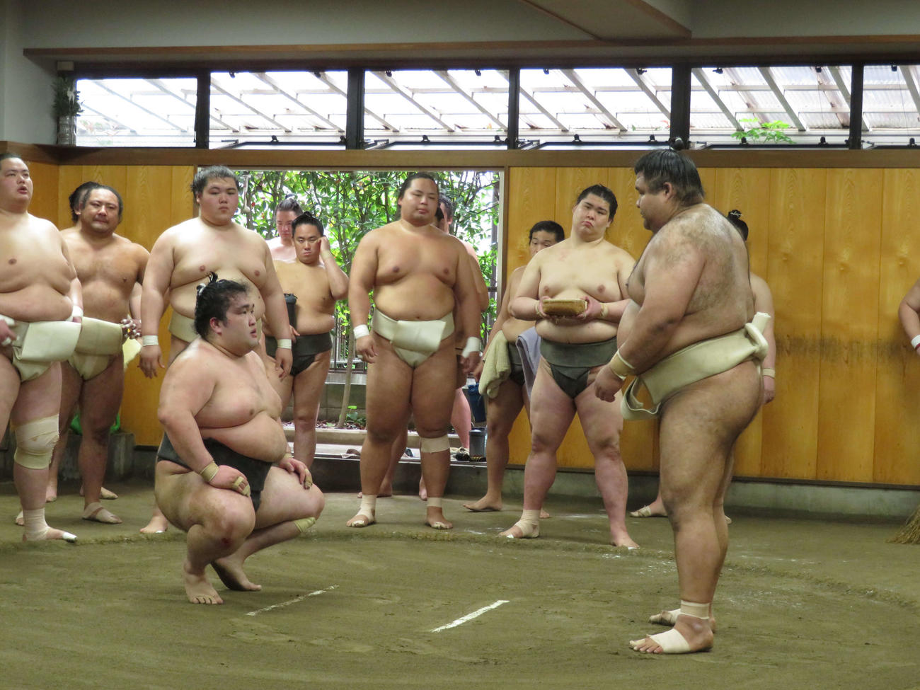 高安（右）と稽古する豪ノ山（代表撮影）