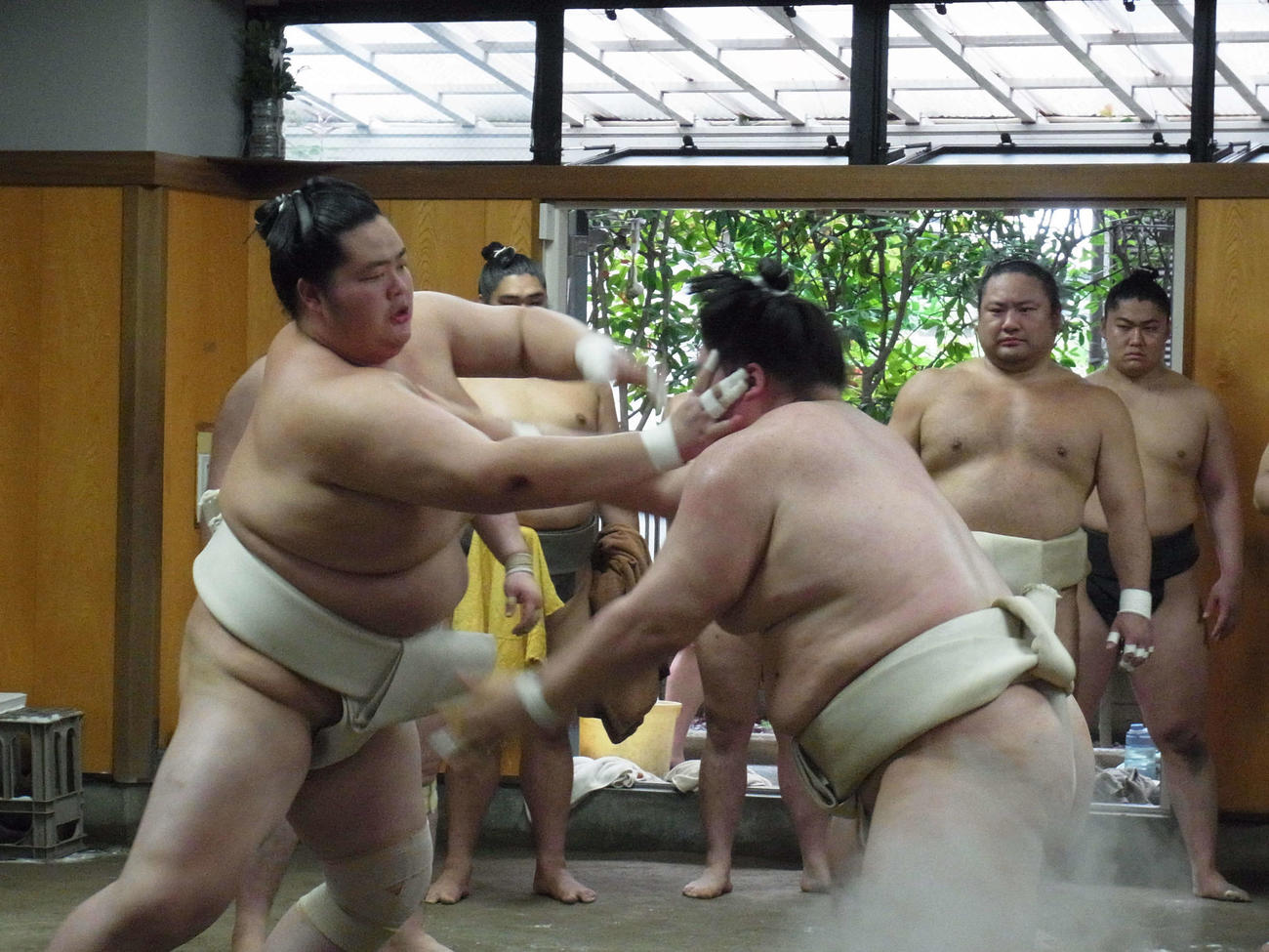 稽古する琴ノ若（左）と王鵬（代表撮影）