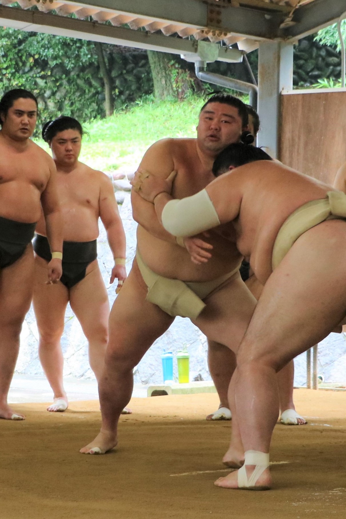 豊山（背中）との申し合い稽古で汗を流す正代