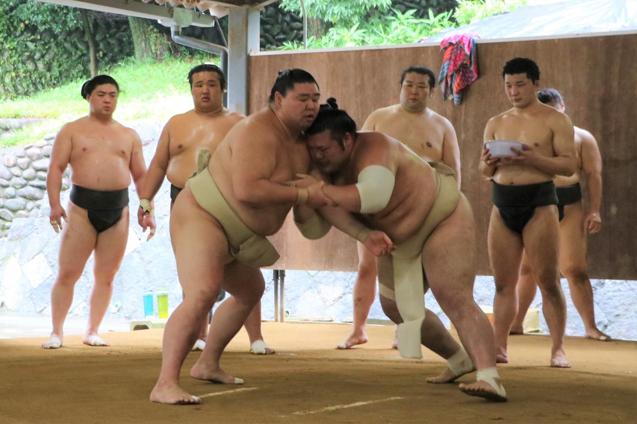 豊山（右）との申し合い稽古で汗を流す正代
