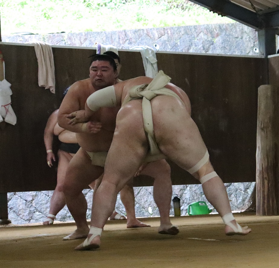 豊山（背中）との申し合い稽古で汗を流す正代