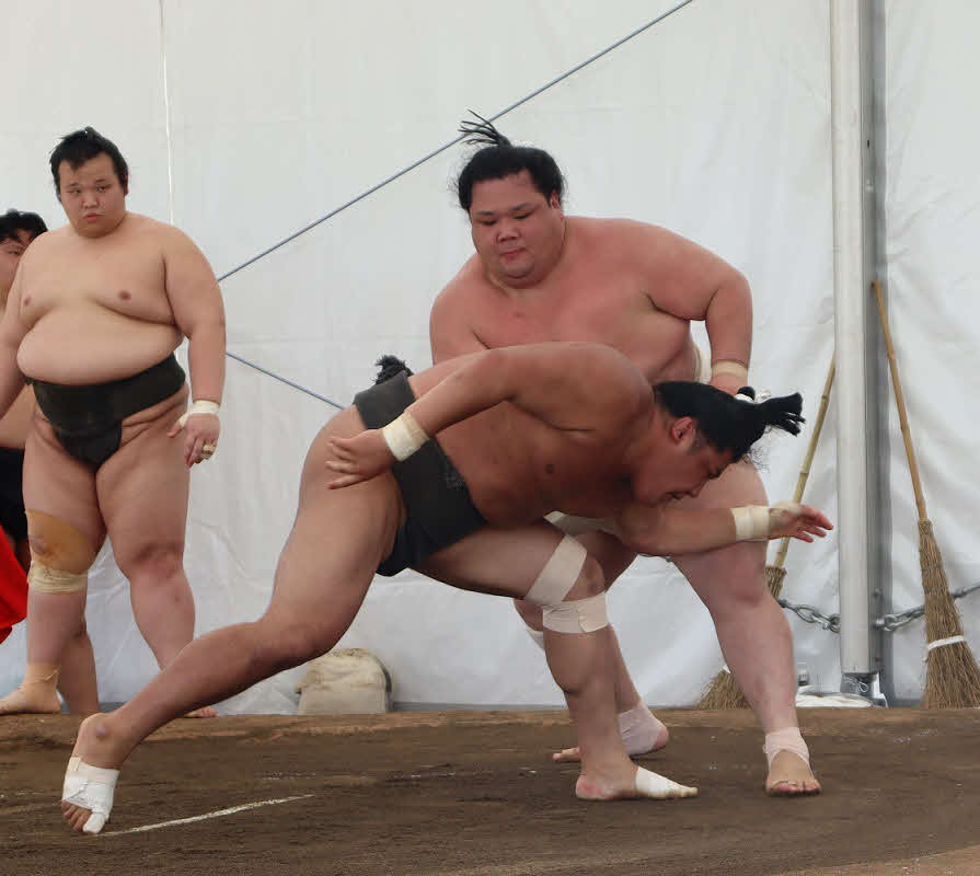 稽古に励む阿武咲（代表撮影）