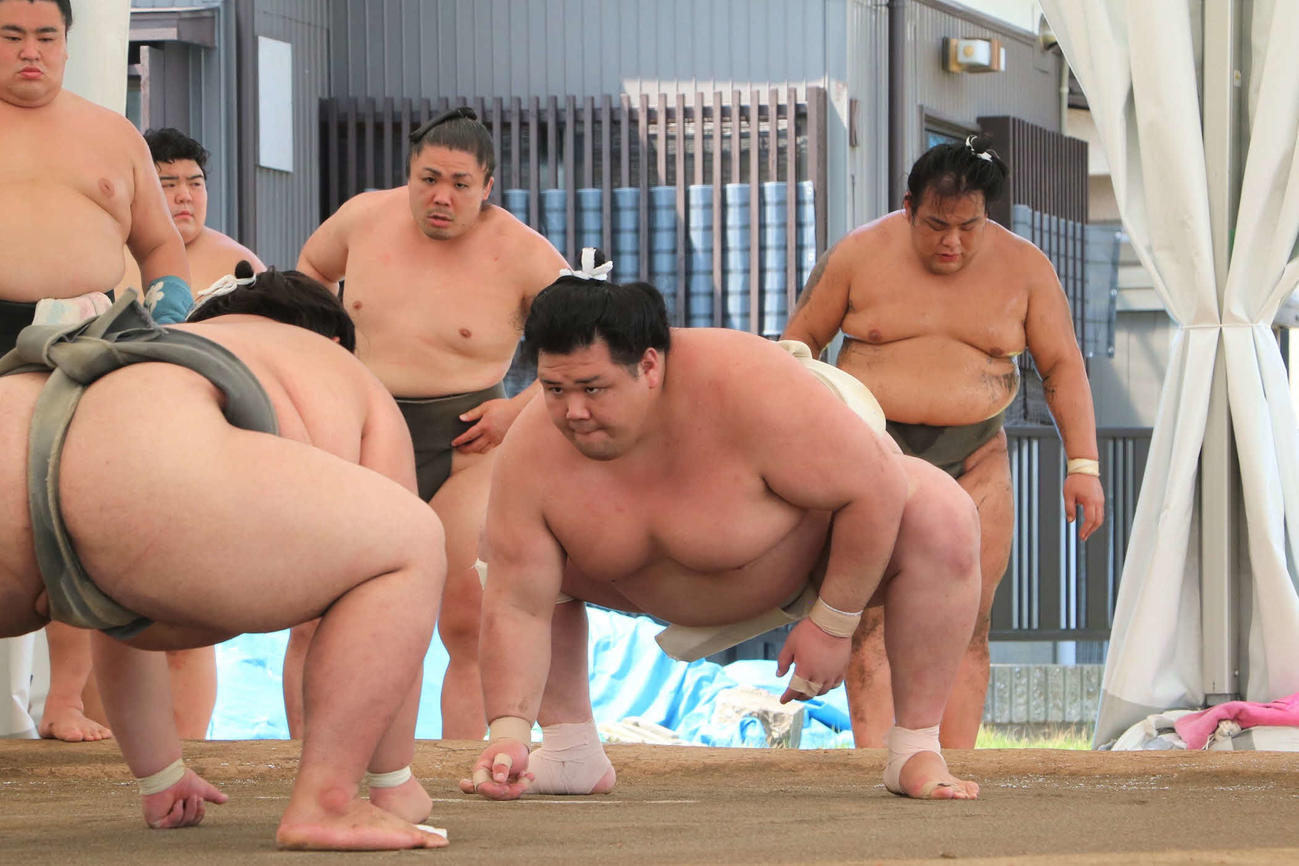 稽古に励む阿武咲（代表撮影）