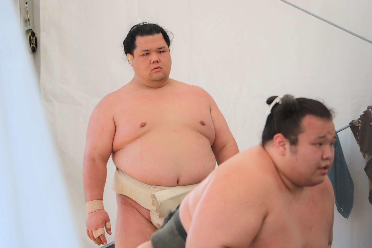 稽古に励む阿武咲（代表撮影）