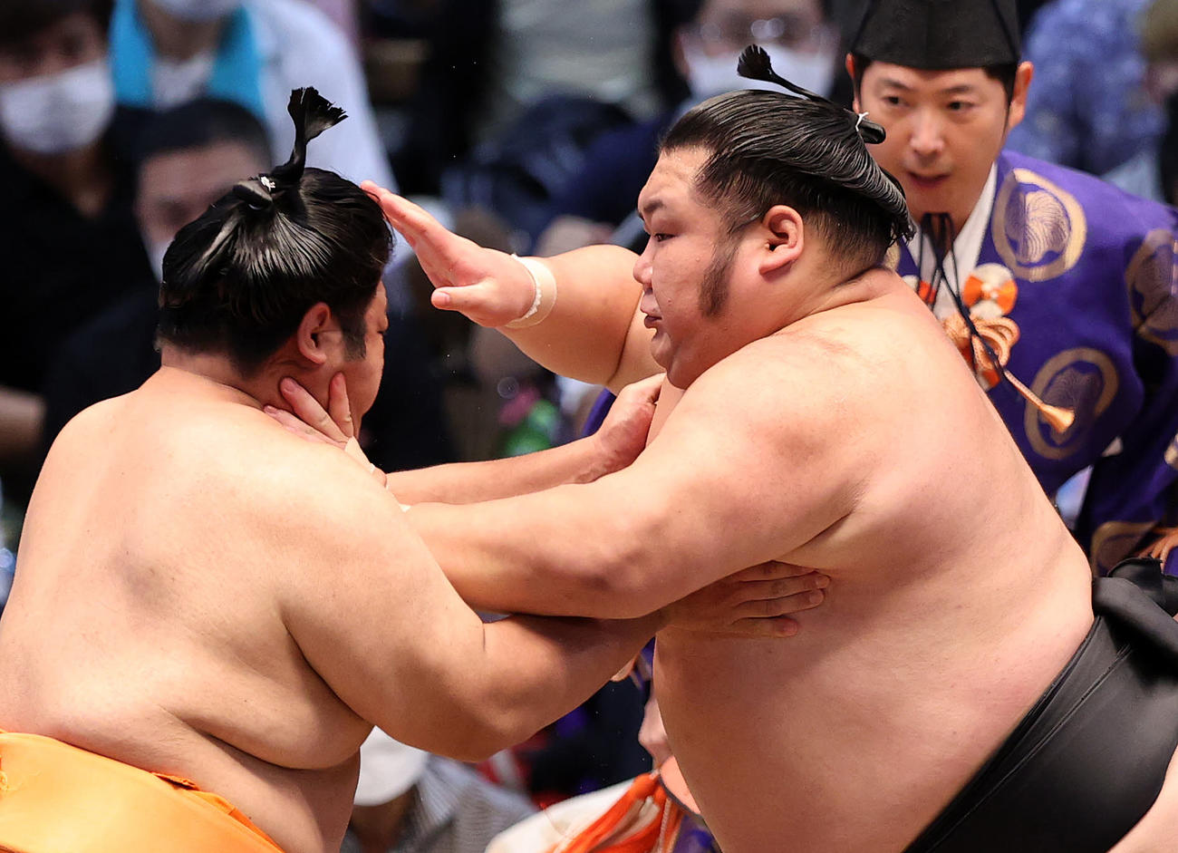 志摩ノ海（左）を攻める千代大龍（撮影・鈴木正人）