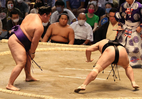 照強を押し倒す明生(左)(撮影・渦原淳)