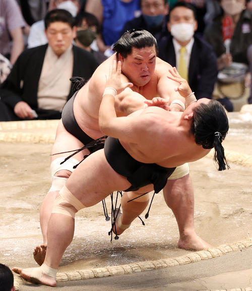 照強(手前)を押し倒しで破る妙義龍(撮影・鈴木正人)