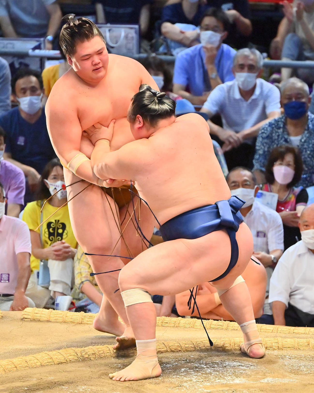王鵬（左）を寄り切りで破る宝富士（撮影・和賀正仁）