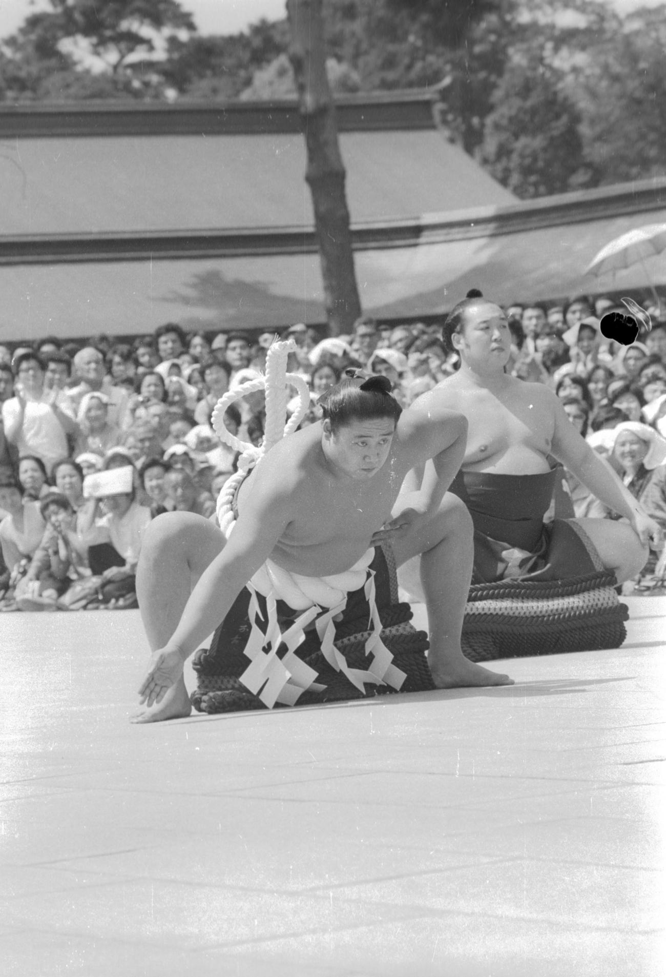 78年5月、横綱伝達式のあと、奉納土俵入りで雲竜型の土俵入りを披露する56代横綱若三杉（若乃花）