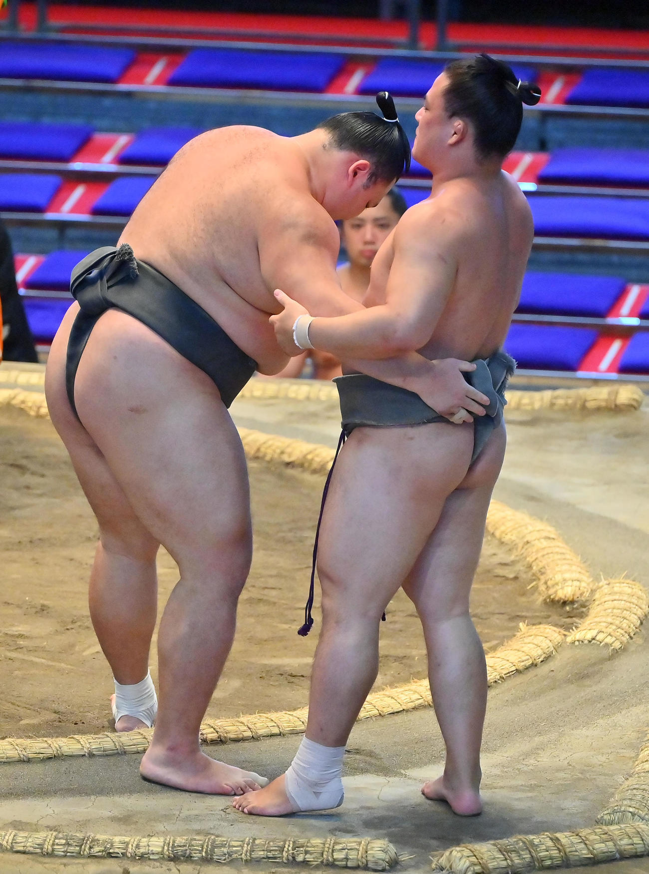 朝乃山（左）は琴大龍を寄り切りで破る（撮影・和賀正仁）