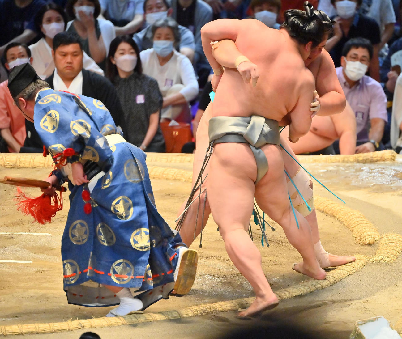 若隆景を寄り切りで破る琴ノ若（撮影・和賀正仁）