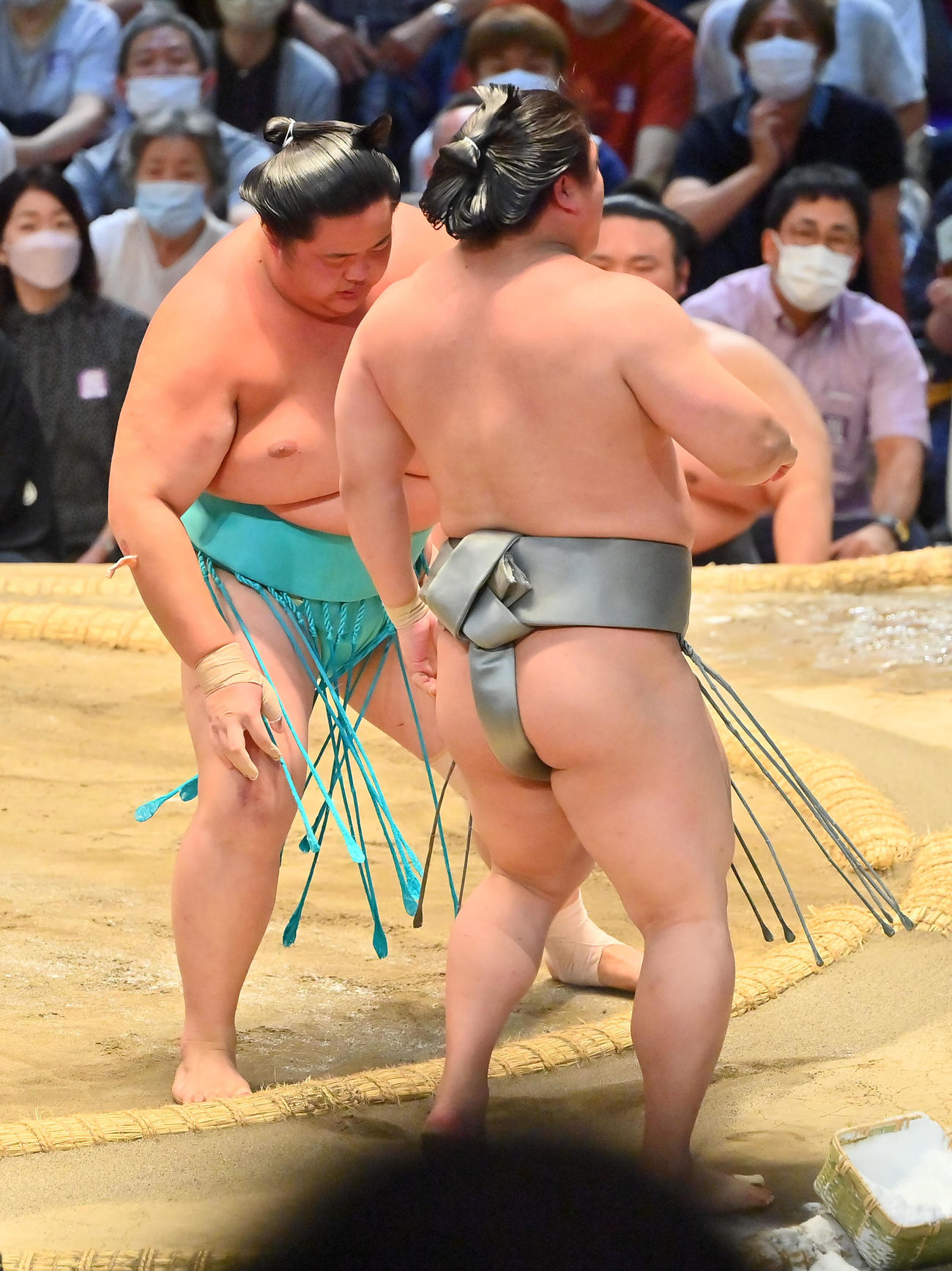 若隆景を寄り切りで破る琴ノ若（撮影・和賀正仁）