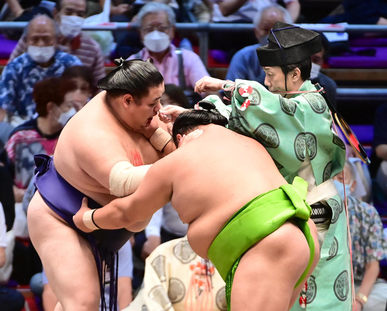 大翔鵬（左）の鼻にティッシュを入れて止血する行司の式守鬼一郎（撮影・小沢裕）
