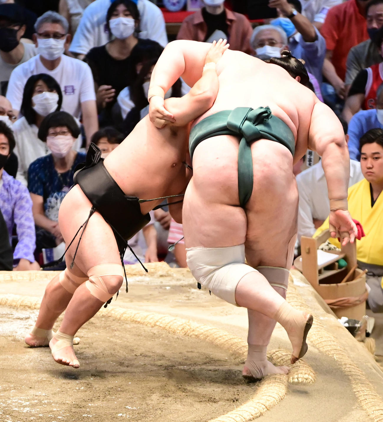 照強（左）は碧山を押し出しで破る（撮影・小沢裕）