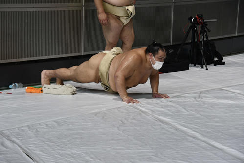 腕立て伏せする北勝富士（撮影・平山連）