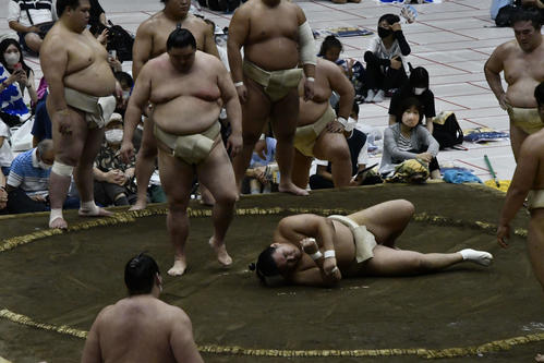 正代とのぶつかり稽古で土俵上に倒れ込む豊昇龍（撮影・平山連）