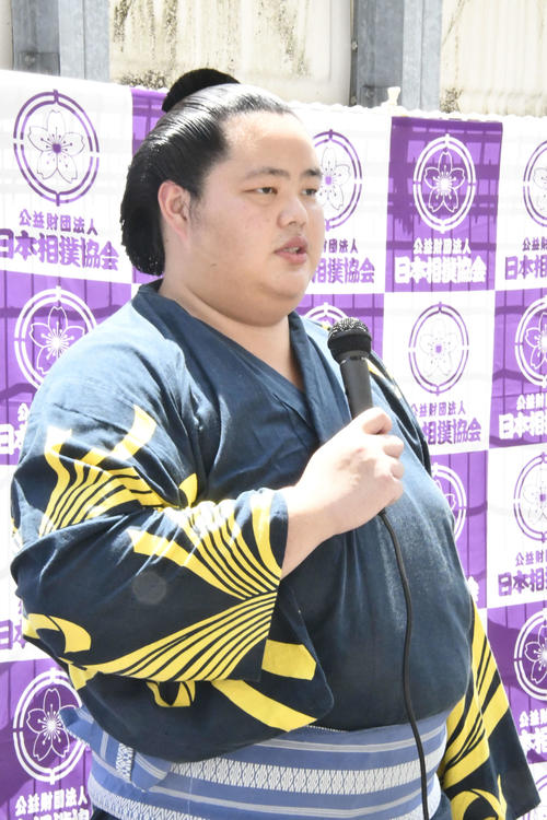取材に応じる琴ノ若（撮影・平山連）
